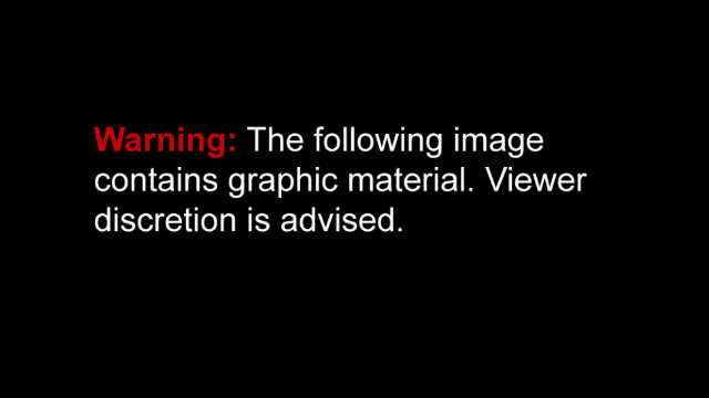 130226095234-warning-graphic-content-slide-horizontal-gallery.jpg