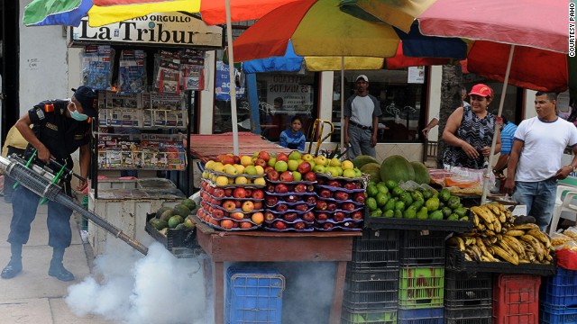 141212190933-chikungunya-honduras-horizontal-gallery.jpg