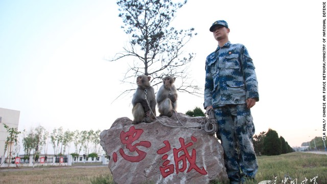 140508024945-china-pla-monkeys-horizontal-gallery.jpg