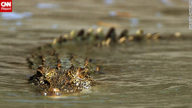 140527154402-crocodile-irpt-horizontal-gallery.jpg