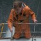 140828213100-25-netflix-september-topics.jpg