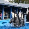 140529123459-seaworld-florida-restricted-topics.jpg