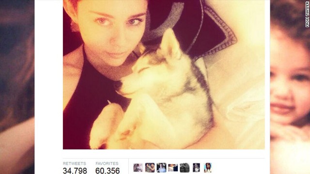 140402172310-miley-cyrus-dog-horizontal-gallery.jpg