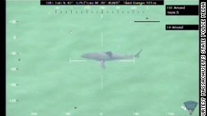140825180300-01-ma-great-white-shark-story-body.jpg