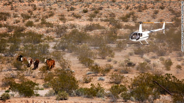 140411091558-03-nevada-standoff-0411-horizontal-gallery.jpg