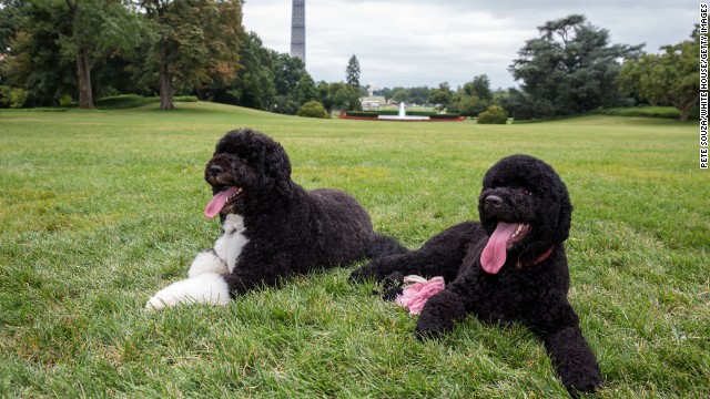 130820092013-01-presidential-pets-horizontal-gallery.jpg