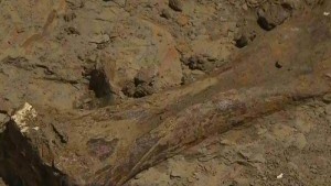 130614211906-ac-lah-dnt-dino-hunter-00023815-story-body.jpg