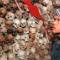 131208161406-cambodia-skull-map-topics.jpg