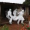 140807090639-restricted-01-ebola-0807-topics.jpg