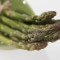 120213065536-lustful-asparagus-topics.jpg