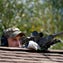 635767796568854243-AP-CORRECTION-Officer-Shot-Manhunt.jpg