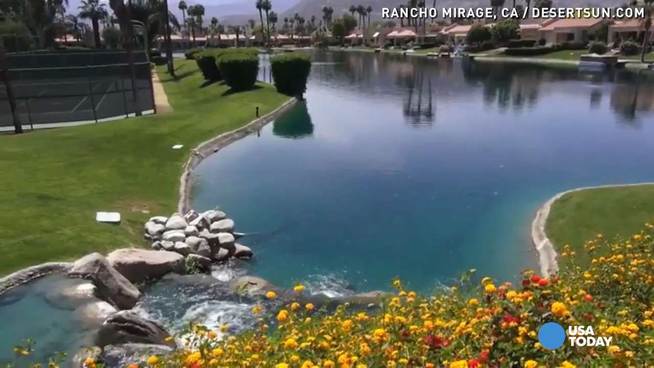 29906170001_4155495376001_video-still-for-video-4155435876001.jpg