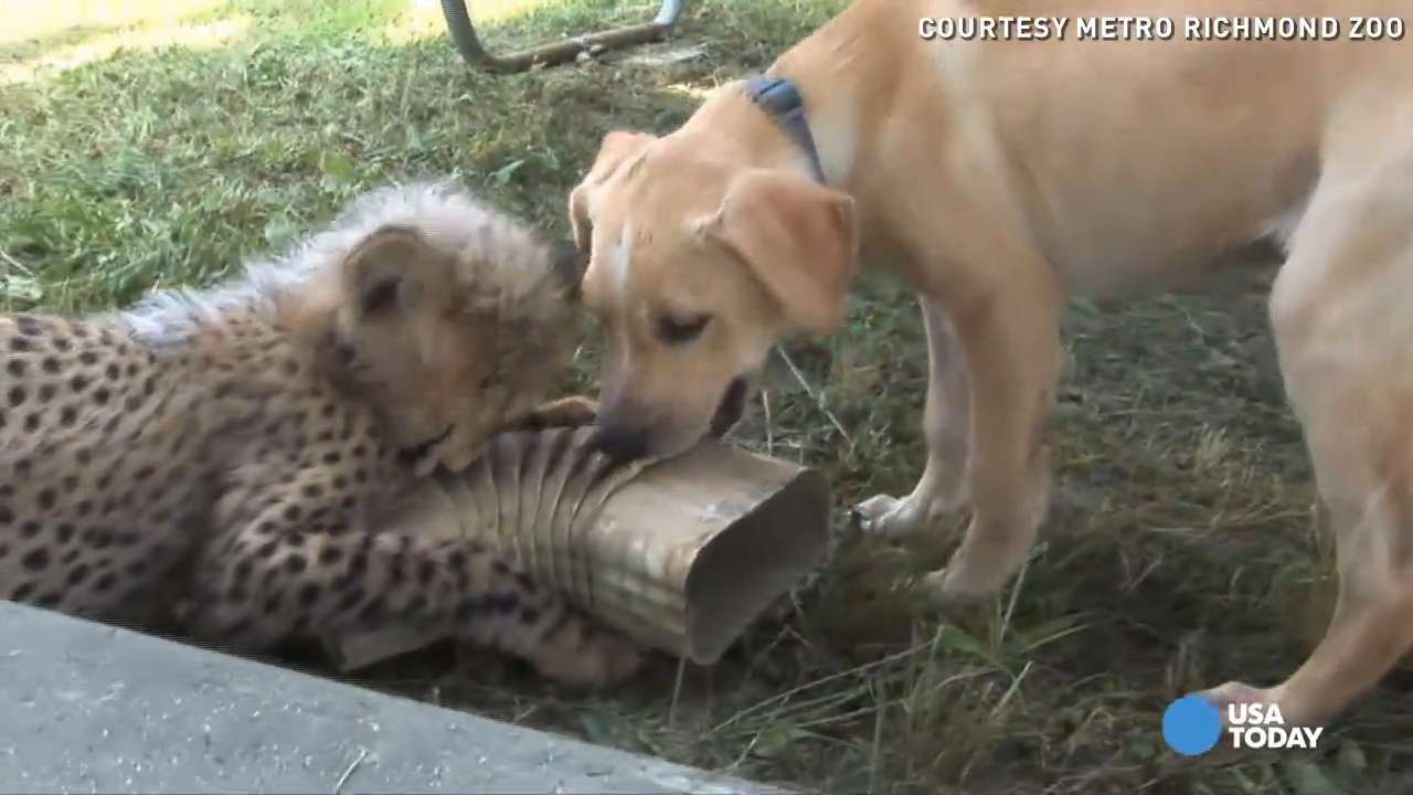 29906170001_4540044541001_video-still-for-video-4539965571001.jpg