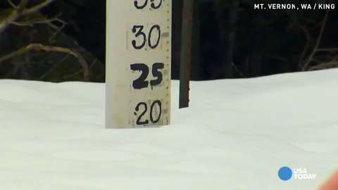29906170001_4231518924001_video-still-for-video-4231388478001.jpg