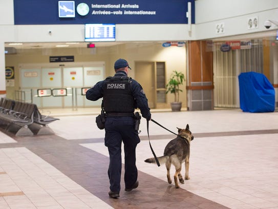 635837889536576644-HALIFAX-DOG.JPG