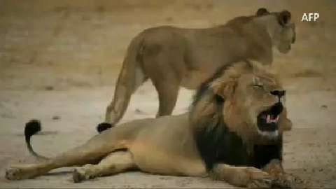 29906170001_4382123475001_video-still-for-video-4382098236001.jpg