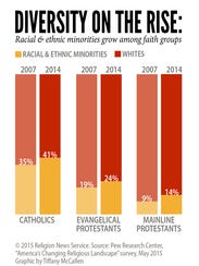 635669877663129062-thumbRNS-DIVERSITY-GRAPHIC051115a.jpg