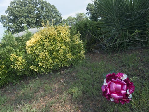 B9318213785Z.1_20150724230858_000_GPPBELQ8N.1-0.jpg