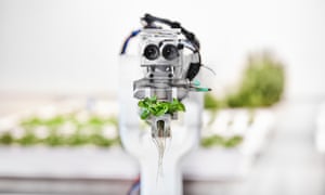 A robotic picker holding some leaves with its two lenses looking much like eyes.