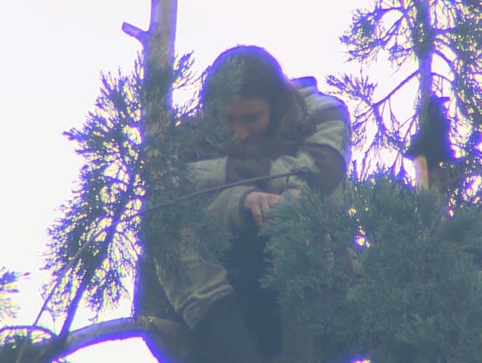 635944543998486765-man-in-tree.JPG