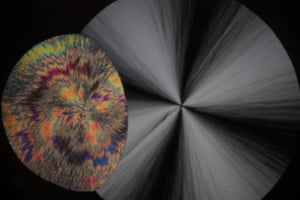 Eureka and Discovery category, first prize Eureka and Discovery category, first prize