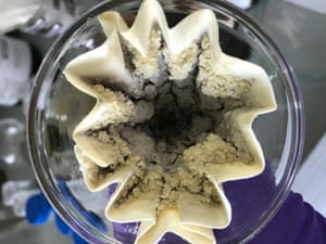 Weird and Wonderful category, first prize Weird and Wonderful category, first prize