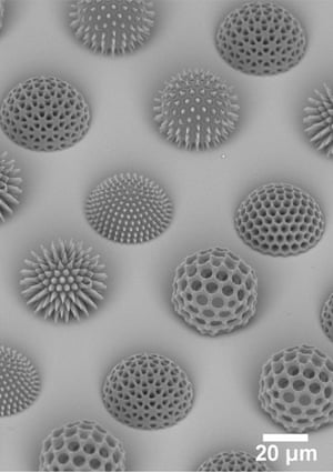 Innovation category, first prize Innovation category, first prize