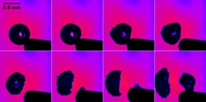 Innovation category, third prize Innovation category, third prize